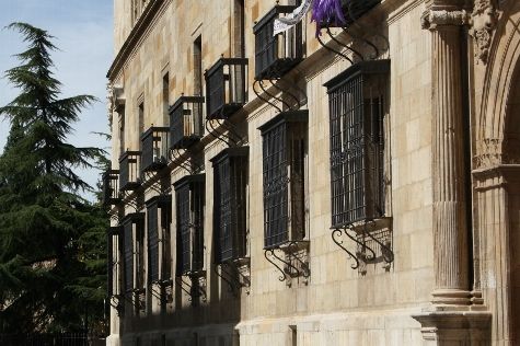 Palacio de los Guzmanes Diputación de León