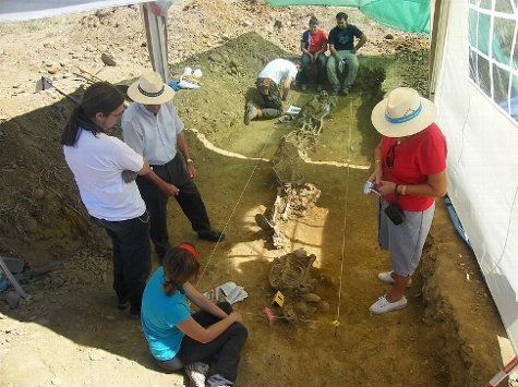 Exhumación en Quintana de Rueda (Imagen cedida por la ARMH https://www.flickr.com/photos/memoriahistorica/12652041005/)
