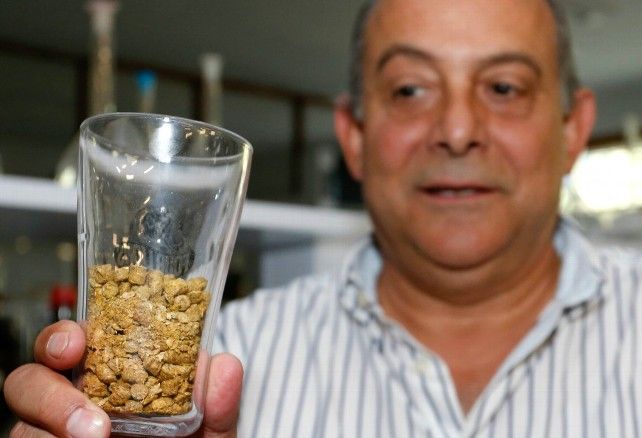 Carlos S. Campillo / ICAL El director del Instituto de Investigación de la Viña y el Vino, Enrique Garzón, muestra semillas de lúpulo