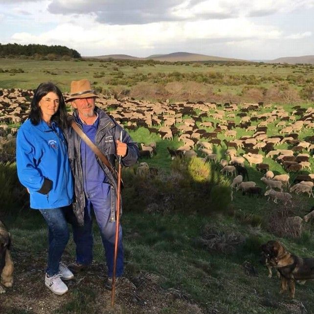 Violeta Alegre y su marido con rebaño de ovejas