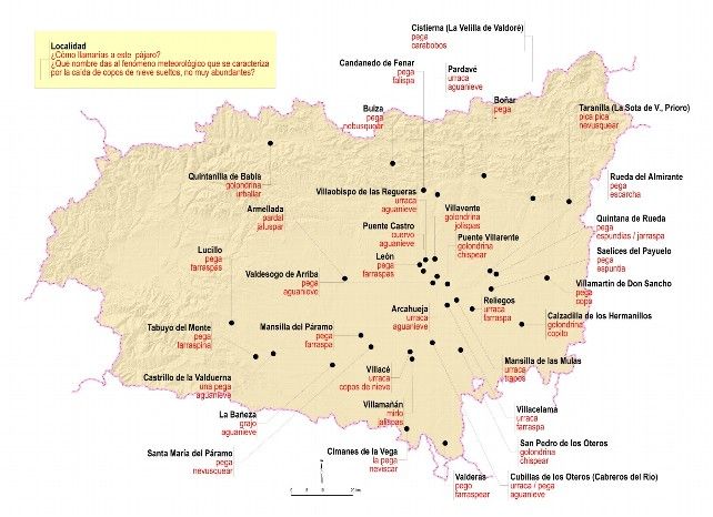 El mapa de la provincia de León refleja los resultados de una de las cuestiones de la encuesta a los adolescentes sobre cómo se denomina en las diferentes zonas de León a dos palabras: pega y falispas. 