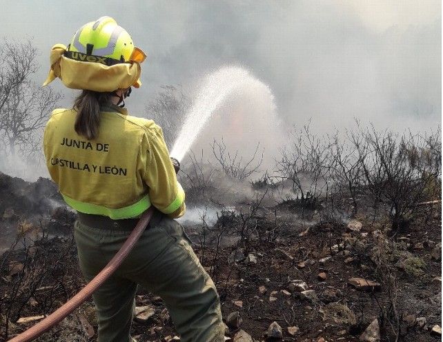 incendio forestal montearenas villagatón sucesos verano 2020 llamas brigadas junta castilla y león administración 