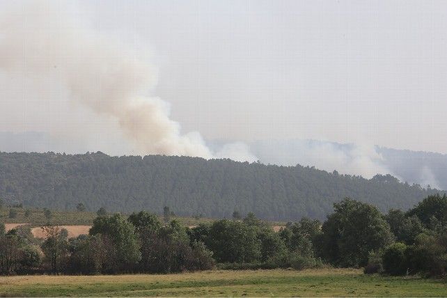 Incendio en la Sierra de la Culebra, en Zamora.