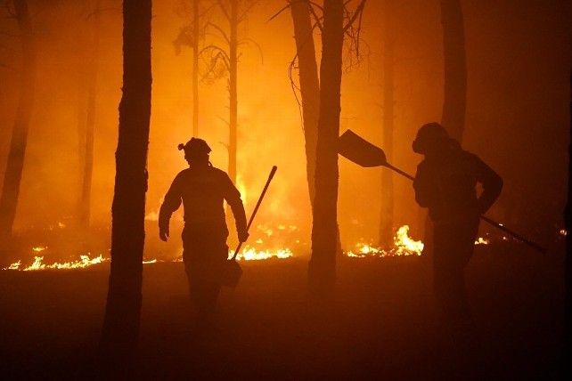 León y Ponferrada mandan sus bomberos y medios de extinción municipales a Zamora a luchar contra el incendio de la Sierra de la Culebra. // Bomberos León