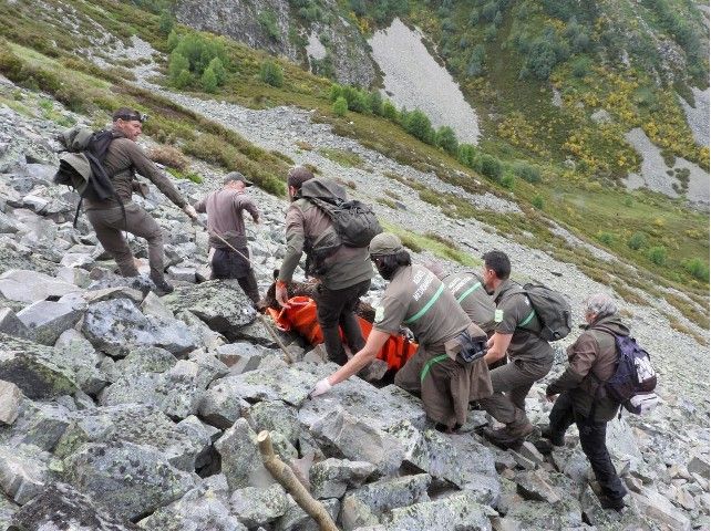 Operativo especial de la Junta para recuperar los restos de un ejemplar de oso pardo en el entorno del pico Miro de Valdeprado.