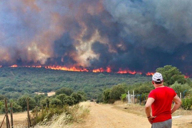 Un vecino observa las llamas del incendio de Losacio en Zamora